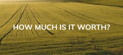 Photo of a large field of vacant of grassy land